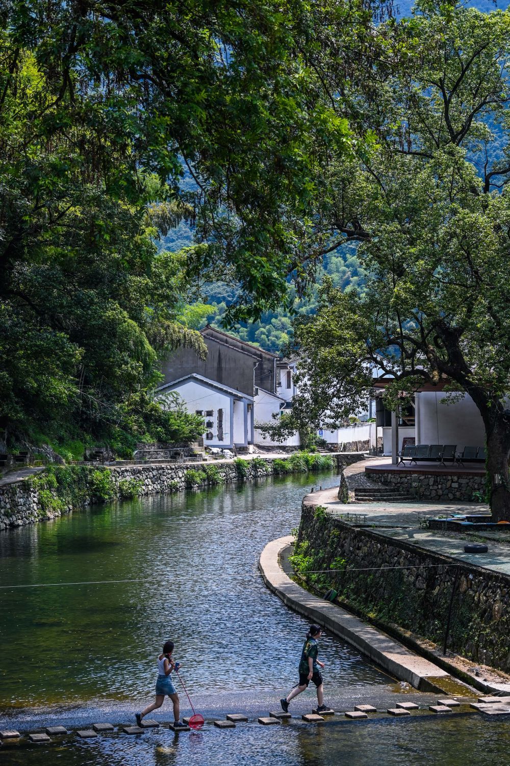 从山顶到海洋，浙江生态持续向好