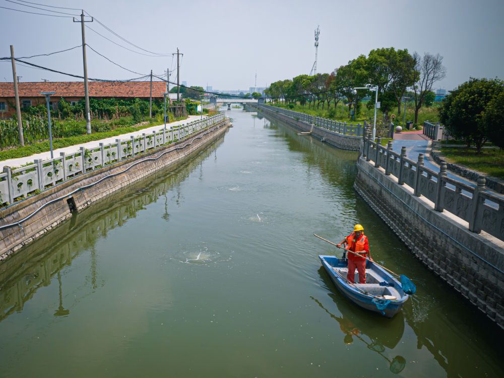 从山顶到海洋，浙江生态持续向好