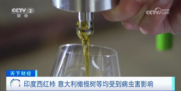 是什么让西红柿价格飙升700%？