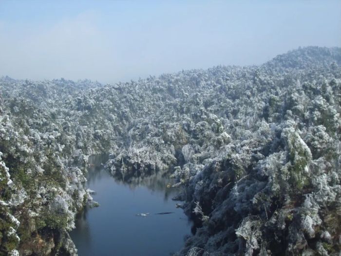 广西“雪景模式”即将开启？最大降雪量、时段可能是→