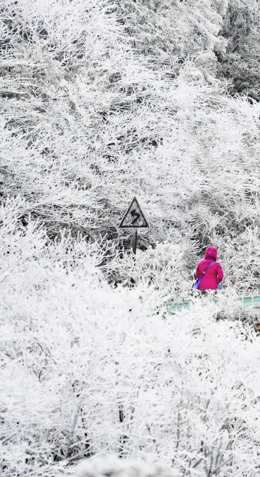 广西“雪景模式”即将开启？最大降雪量、时段可能是→