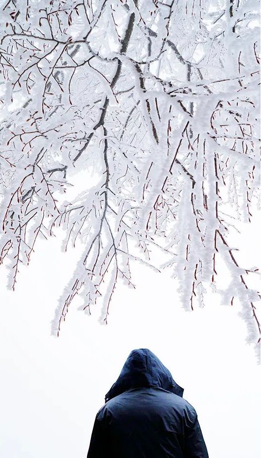 广西“雪景模式”即将开启？最大降雪量、时段可能是→