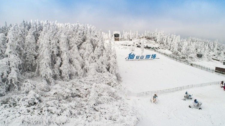 重庆仙女山再降大雪 景区多种措施保障游客尽情耍雪